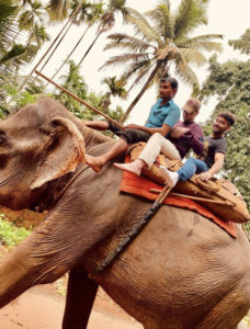 Terry Scholar riding an elephant in India with two other people